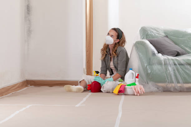 Reliable Mold Remediation contractor in Burlington, KY by WQB Mold Removal